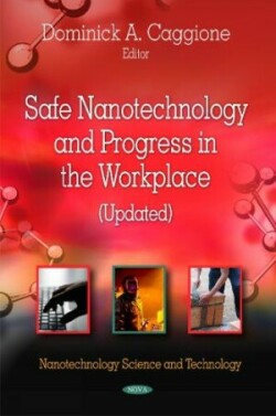 Safe Nanotechnology & Progress in the Workplace (Updated)