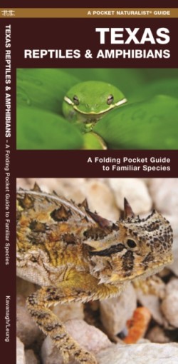 Texas Reptiles & Amphibians