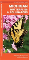 Michigan Butterflies & Pollinators