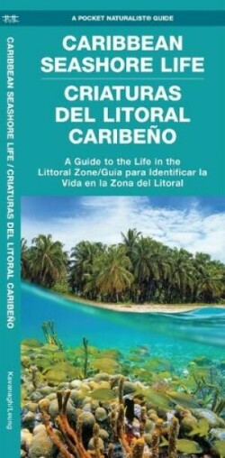 Caribbean Seashore Life (Criaturas del Litoral Caribeno)