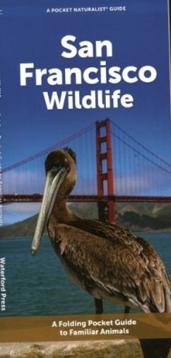 San Francisco Wildlife