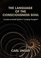 Language of the Consciousness Soul