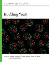 Budding Yeast