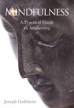 Mindfulness A Practical Guide to Awakening