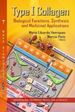 Type I Collagen