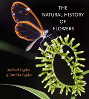 Natural History of Flowers