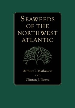 Seaweeds of the Northwest Atlantic