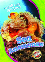 Sea Anemones