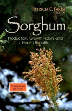 Sorghum