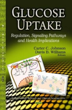 Glucose Uptake