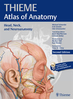 Head, Neck and Neuroanatomy(Thieme atlas of Anatomy), 2nd Ed. PB English