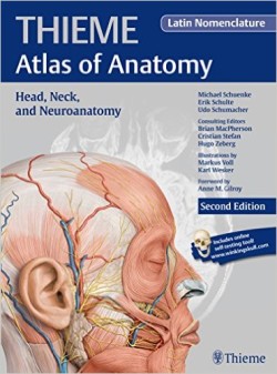 Head, Neck, and Neuroanatomy (Thieme Atlas of Anatomy),2nd Ed. HB Latin