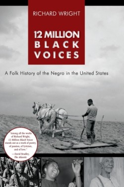 12 Million Black Voices