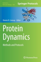 Protein Dynamics
