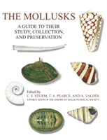 Mollusks