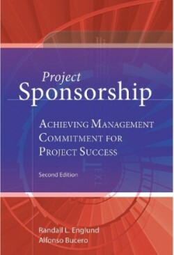 Project Sponsorship