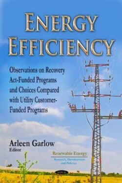 Energy Efficiency