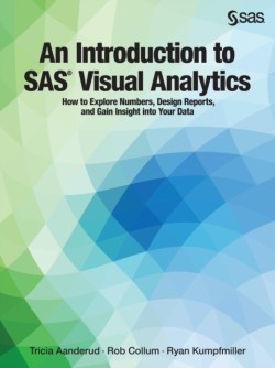 Introduction to SAS Visual Analytics