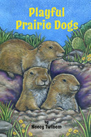 Playful Prairie Dogs