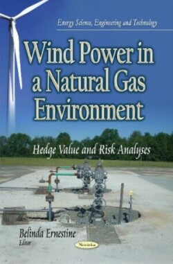 Wind Power in a Natural Gas Environment