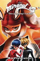 Miraculous: Tales of Ladybug and Cat Noir: Season Two – A New Hero Emerges
