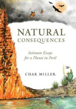 Natural Consequences