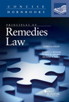 Principles of Remedies Law