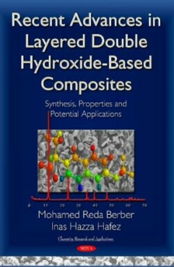 Recent Advances in Layered Double Hydroxide-Based Composites