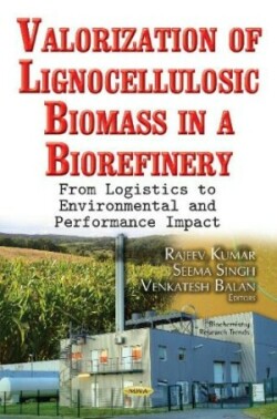 Biomass Pretreatment & Conversion Processes