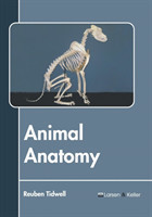 Animal Anatomy