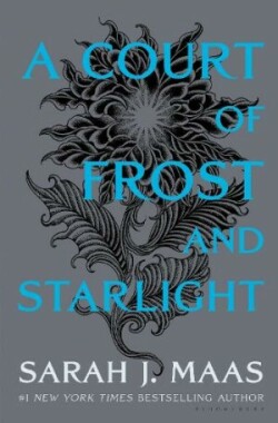 Court of Frost and Starlight