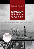 12 Million Black Voices