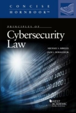 Cybersecurity Law