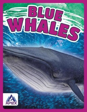 Giants of the Sea: Blue Whales