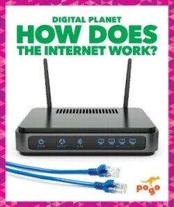 How Does the Internet Work ?