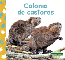 Colonia de castores (Beaver Colony)