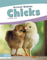 Chicks