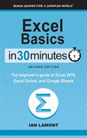 Excel Basics in 30 Minutes (2nd Edition)