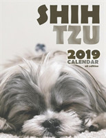 Shih Tzu 2019 Calendar (UK Edition)