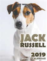 Jack Russell 2019 Calendar (UK Edition)