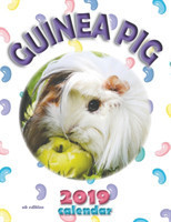 Guinea Pig 2019 Calendar (UK Edition)