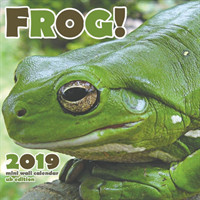 Frog 2019 Calendar (UK Edition)