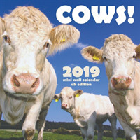 Cows! 2019 Mini Wall Calendar (UK Edition)