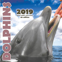 Dolphins 2019 Mini Wall Calendar (UK Edition)