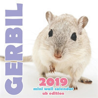 Gerbil 2019 Mini Wall Calendar (UK Edition)