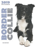 Border Collie 2019 Dog Calendar (UK Edition)