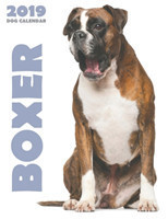 Boxer 2019 Dog Calendar (UK Edition)