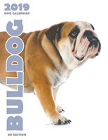 Bulldog 2019 Dog Calendar (UK Edition)