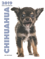 Chihuahua 2019 Dog Calendar (UK Edition)