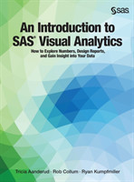 Introduction to SAS Visual Analytics